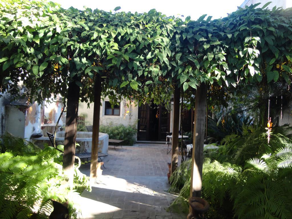 Cissus Hotel Boutique (Adults Only) Antigua ภายนอก รูปภาพ