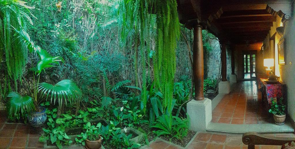 Cissus Hotel Boutique (Adults Only) Antigua ภายนอก รูปภาพ