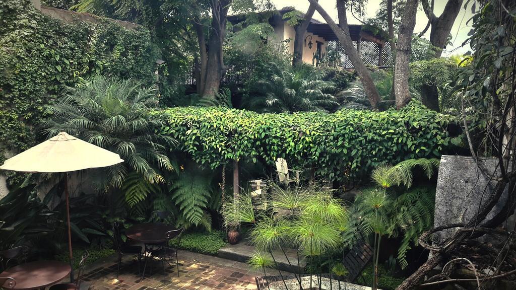 Cissus Hotel Boutique (Adults Only) Antigua ภายนอก รูปภาพ